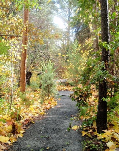 Aldgate Valley Bed And Breakfast - Stayed 43