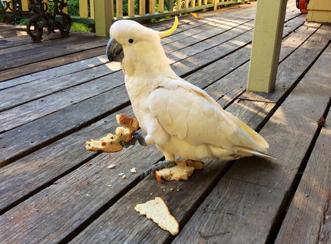 Aldgate Valley Bed And Breakfast - Stayed 40