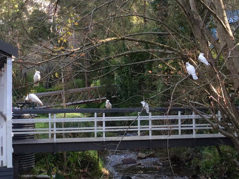 Aldgate Valley Bed And Breakfast - Stayed 41