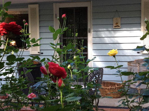 Aldgate Valley Bed And Breakfast - Stayed 31