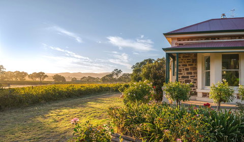 Barossa Shiraz Estate - Stayed 6