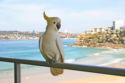 Beachfront Bliss - Stays Accommodation 23