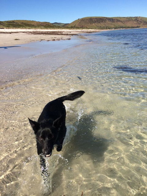 Beachside Holiday Park - Stayed 17