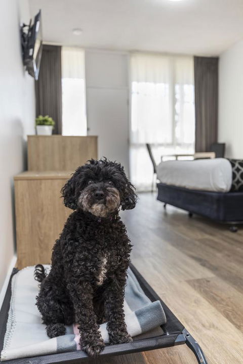 Adelaide Road Motor Lodge - Stayed 2