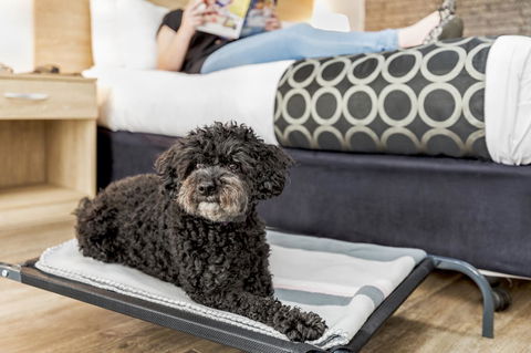 Adelaide Road Motor Lodge - Stayed 5