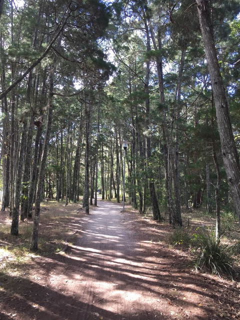 Brunswick Heads Treetop Studio - Stays Accommodation 8