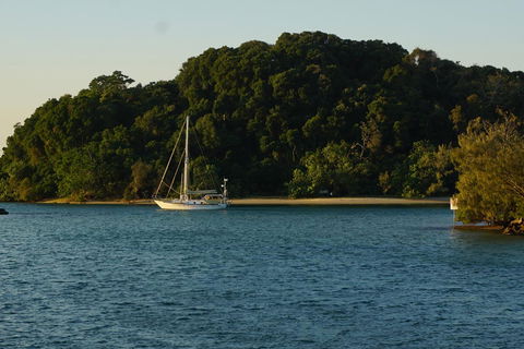 Brunswick Heads Treetop Studio - Stays Accommodation 9