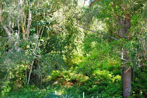 Brunswick Heads Treetop Studio - Stays Accommodation 20