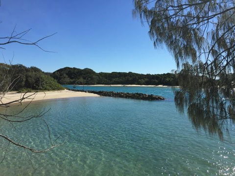 Brunswick Heads Treetop Studio - Stays Accommodation 22