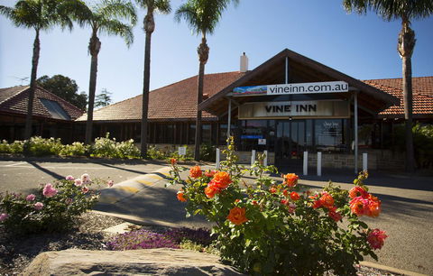 Vine Inn Barossa - Stayed 27