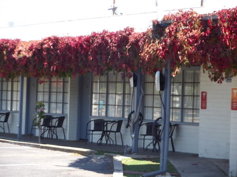 Guichen Bay Motel - Stayed 23