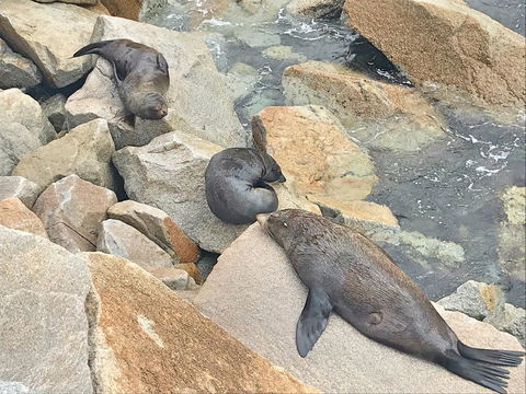 Penthouse On The Promenade - Stayed 17