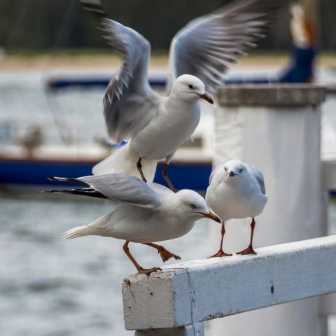 Penthouse On The Promenade - Stayed 15
