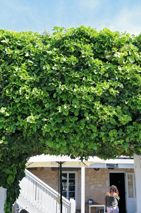 Caledonian Inn - Stayed 21