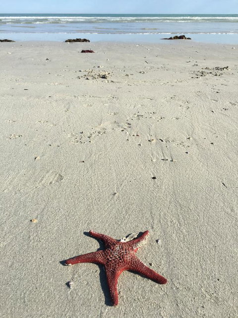 Caledonian Inn - Stayed 14