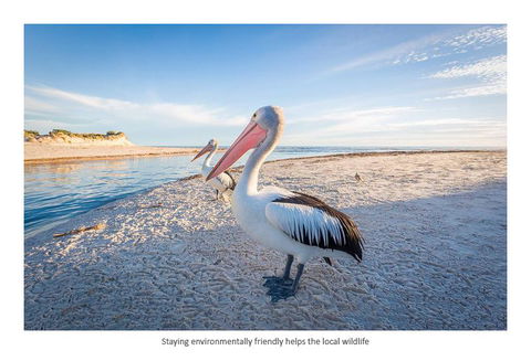 Adelaide Luxury Beach House - Stayed 25