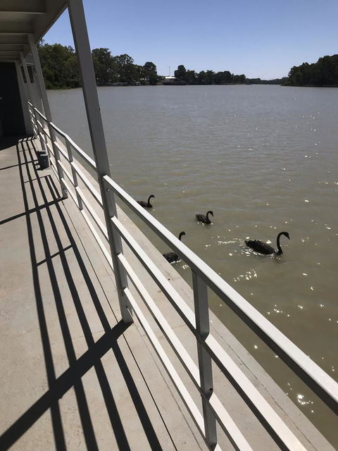 Murray River Queen - Stayed 7