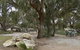 Kangaroo Island Holiday Village - thumb 0