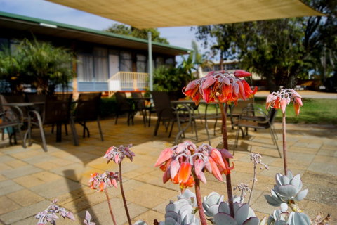 Kangaroo Island Seaview Motel - Stayed 3