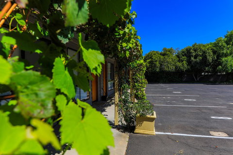 Country Roads Motor Inn Naracoorte - Stayed 16