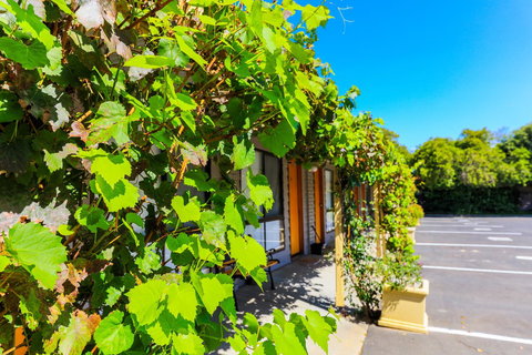 Country Roads Motor Inn Naracoorte - Stayed 18