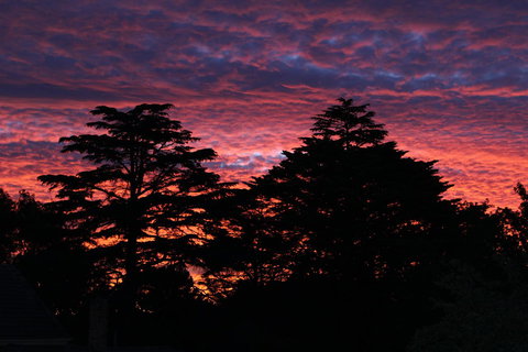 Pirralilla Estate Adelaide Hills - Stayed 26