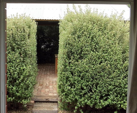 A2@Port Willy - Stayed 13