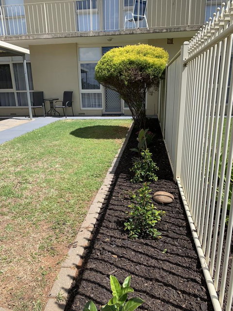 Sunshine Three - Stayed 42