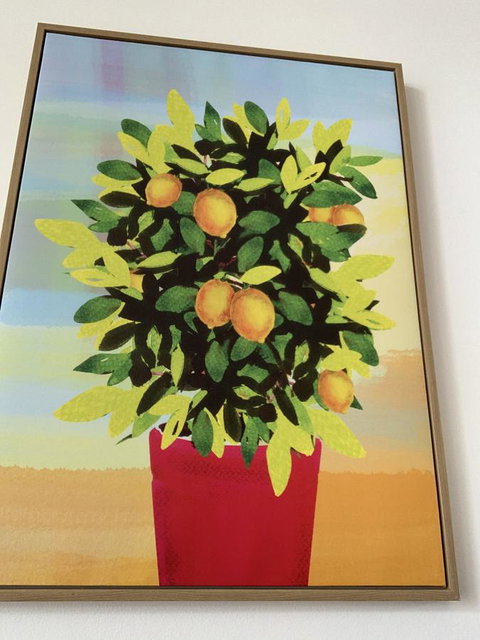 Sunshine Three - Stayed 2