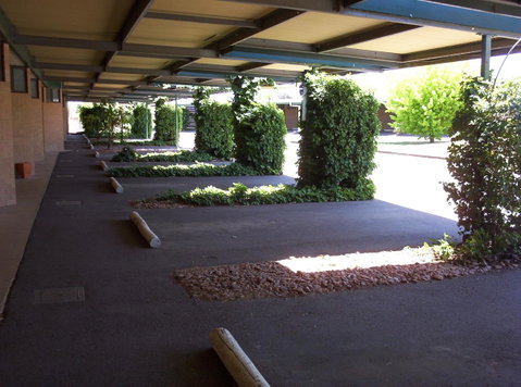 The Wine Vine Hotel - Stayed 17