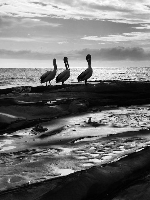 Stylish 3 Bedroom Beachview Apartment - Stays Accommodation 22