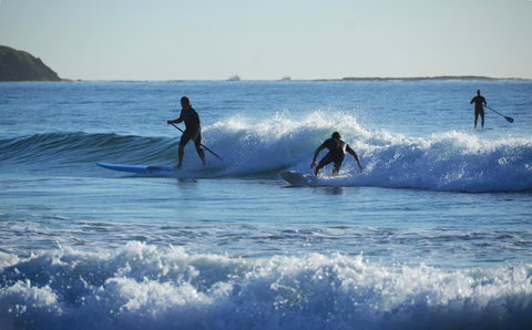 Stylish 3 Bedroom Beachview Apartment - Stays Accommodation 17