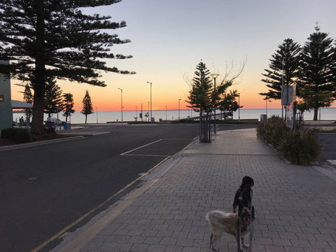 BIG4 Ceduna Tourist Park - Stayed 34