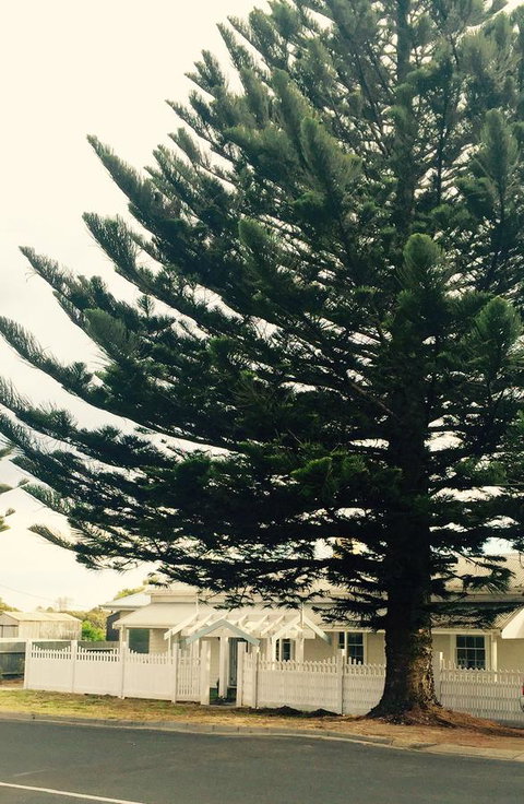 Railway Cottage In Beachport - Stayed 13