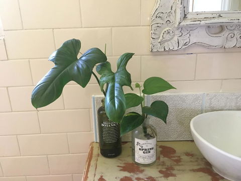 Yallaroo Cottage - Stayed 13