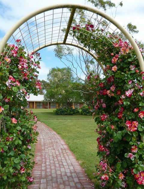 Coonawarra Place Motor Inn - Stayed 20