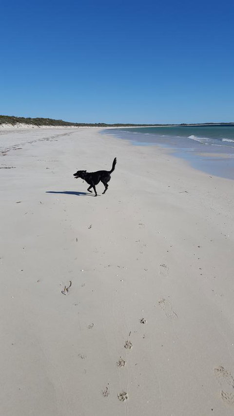 Cosy Nook - Stayed 39