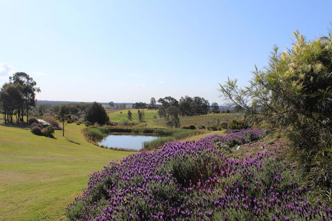 Beltana Villas - Stayed 7