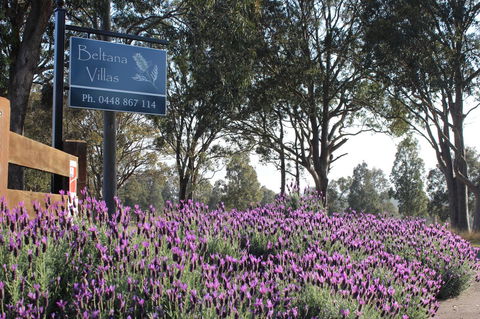 Beltana Villas - Stayed 10