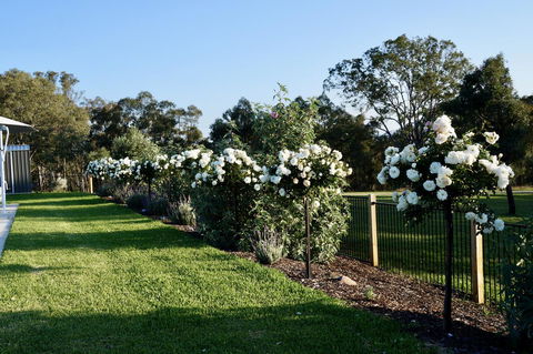 Beltana Villas - Stayed 2