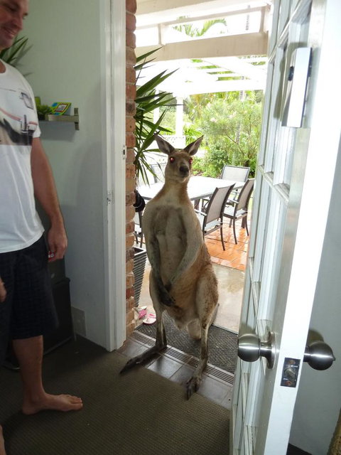 Aston Motel Yamba - Stayed 10