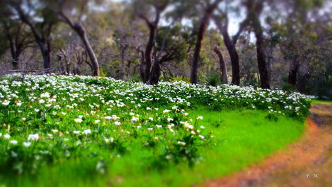 Chandlers Smiths Beach Villas - Stayed 13