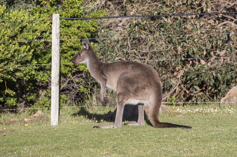 Chandlers Smiths Beach Villas - Stayed 15