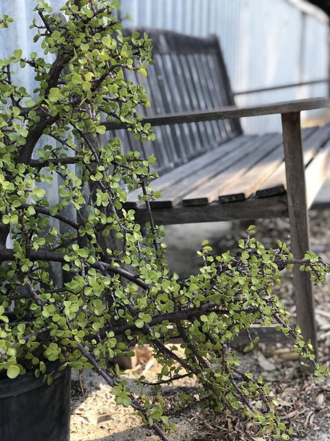 White Sands - Stayed 5