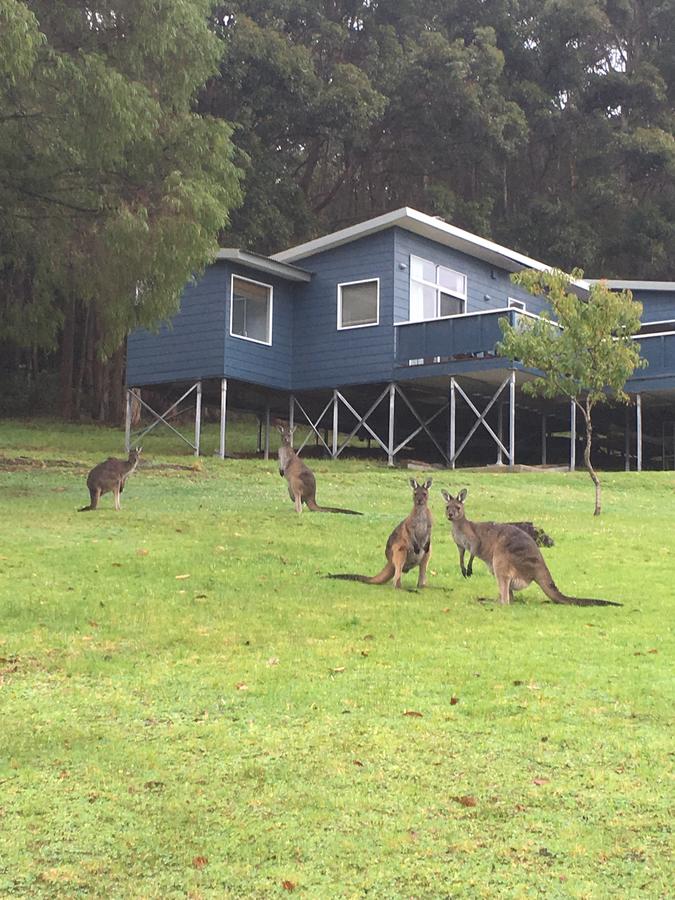 Denmark WA Stayed