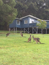 Book Denmark Accommodation Vacations Stays Accommodation Stays Accommodation