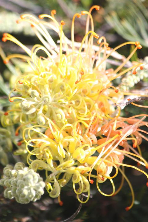 Riverview Tourist Park - Stayed 37