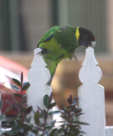 Riverview Tourist Park - Stayed 35