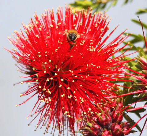 Riverview Tourist Park - Stayed 36