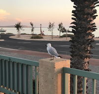 Shark Bay Seafront Apartments - Stayed